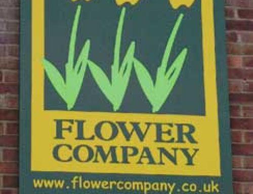 The Flower Company